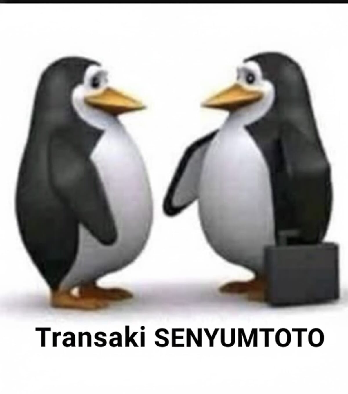 SENYUMTOTO : Transaksi Terang antara 2 pinguin di senyumtoto gioboutiqueweb